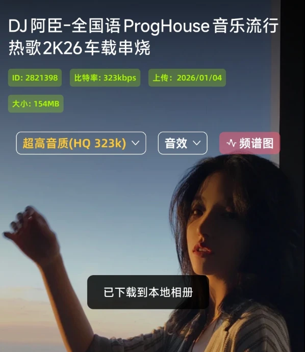 DJ串烧集 解锁本地会员免广告（启动广为分身自带）会员音质可用